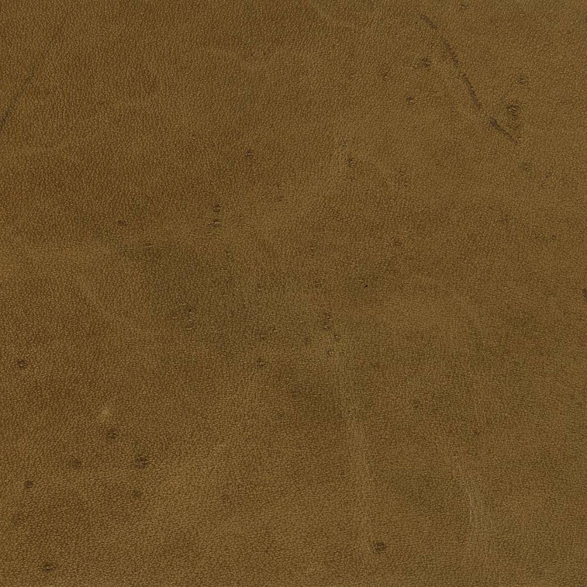 Picture of KL247-46